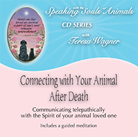 Pet Loss CD: Connecting with your animal after death