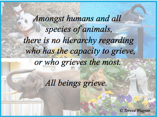 All Animals Grieve