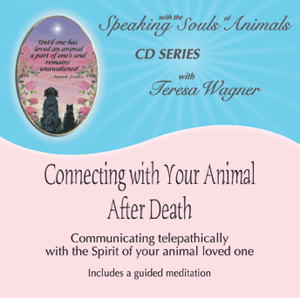 cd con w animal cover web thumb 300