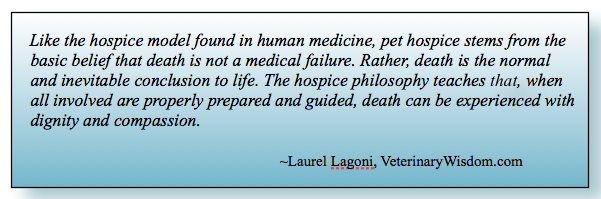 Hospice quote Lagoni