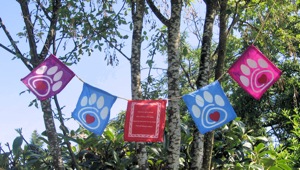 Product-prayer-flags_300px