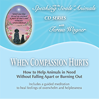 When Compassion Hurts - How to Help Animals in Need Without Falling Apart or Burning Out