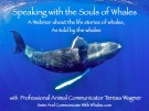 whale_webinar_cover_slide_copy