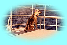 Tiki on Boat Deck