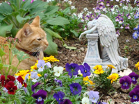 Tiger Lily in Garden with Angel